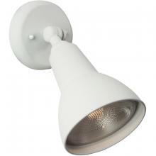 Outdoor Directional Lights